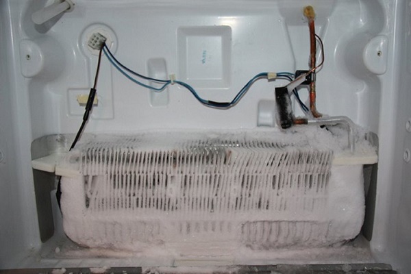 Cầu chì nhiệt tủ lạnh nằm ở ngăn đá